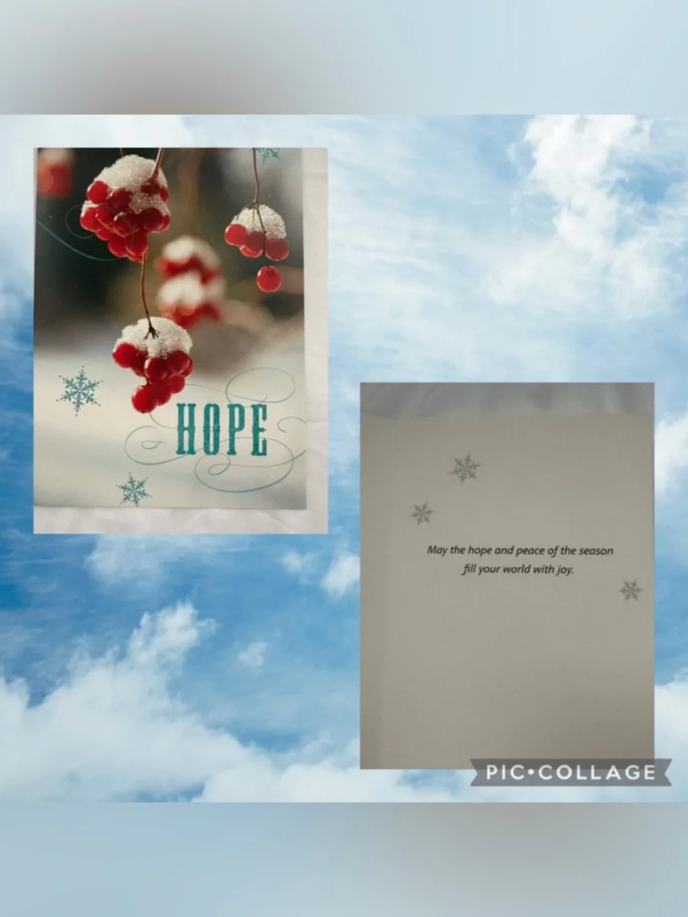 16 Ct Holiday Cards & Envelopes Set Joy, Noel, Hope, Peace Designs - Picture 5 of 8